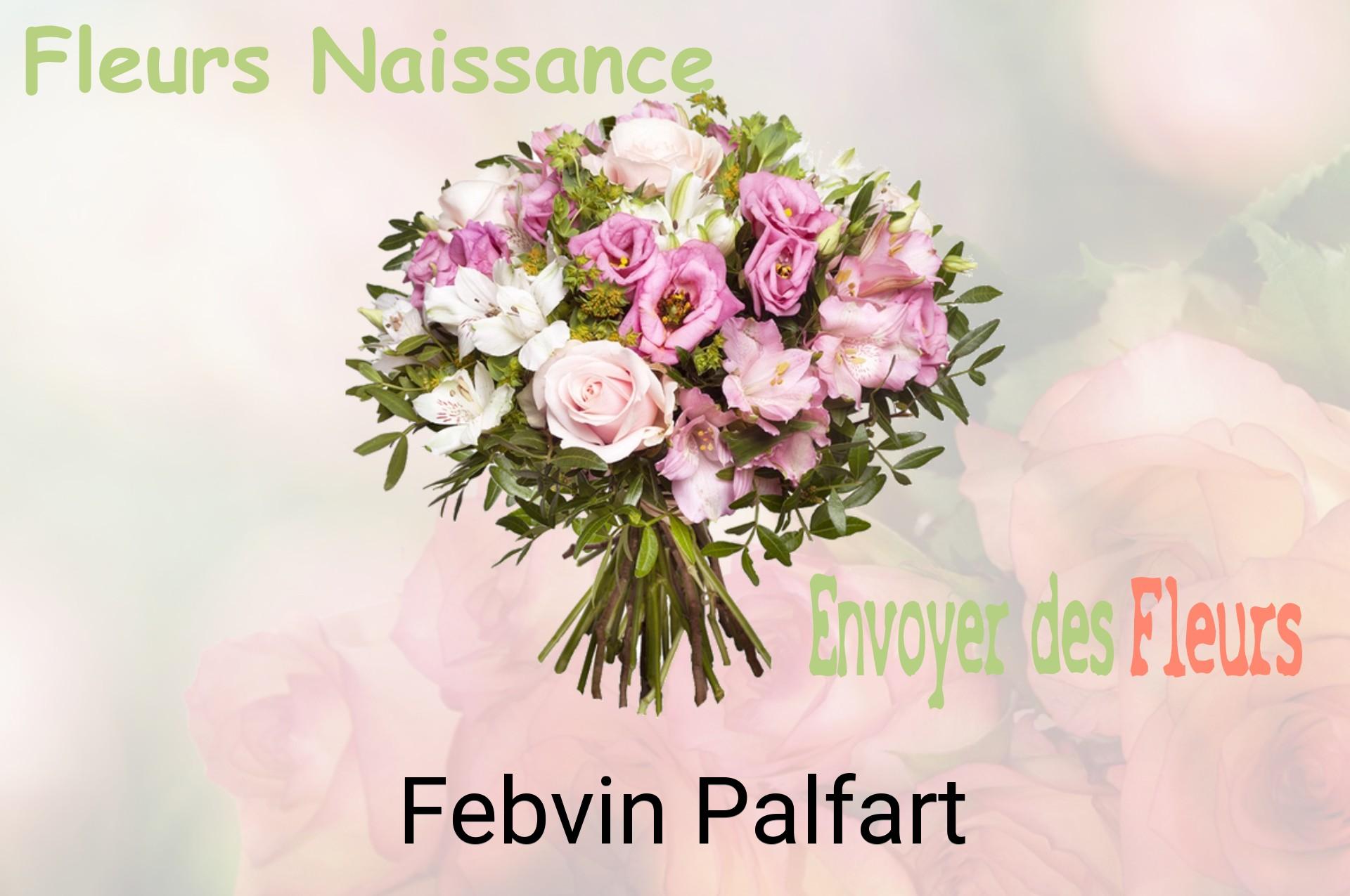 Bouquet de fleurs de naissance livré à Febvin-Palfart